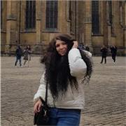 Offro lezioni di inglese e francese per elementari, medie e superiori